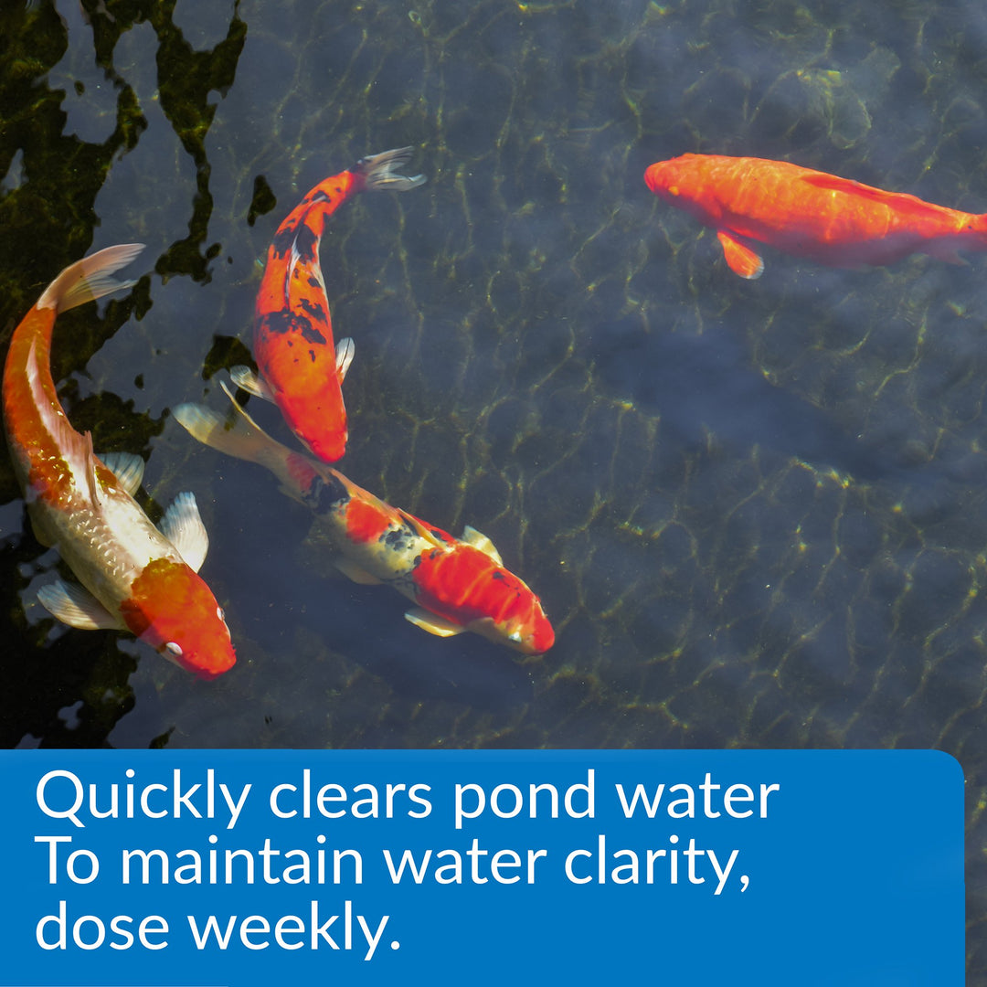 POND ACCU-CLEAR Pond Water Clarifier 1-Gallon Bottle