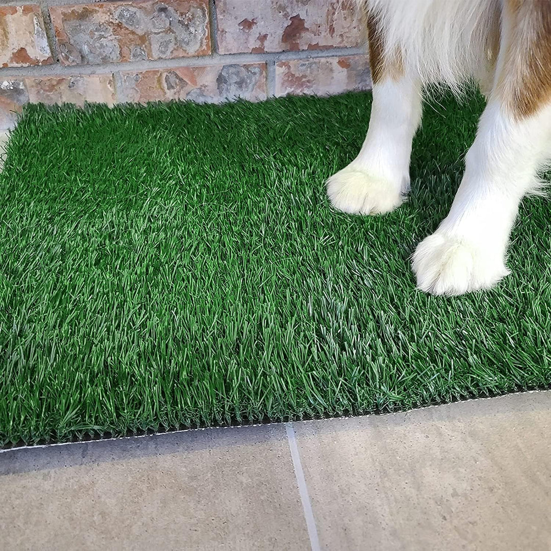 Dog Grass Pet Loo Indoor/Outdoor Portable Potty, Dog Litter Box, Artificial Grass Patch Bathroom Mat and Washable Pee Pad for Puppy Training, Full System with Trays (Pet Training Tray, 20x16)