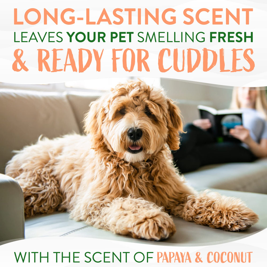 Dog Perfume, Long Lasting Papaya Cologne, Deodorizing Spray for Smelly Dogs, After Bath Detangling Spray with Vitamin E, Safe for Cats, 8oz.