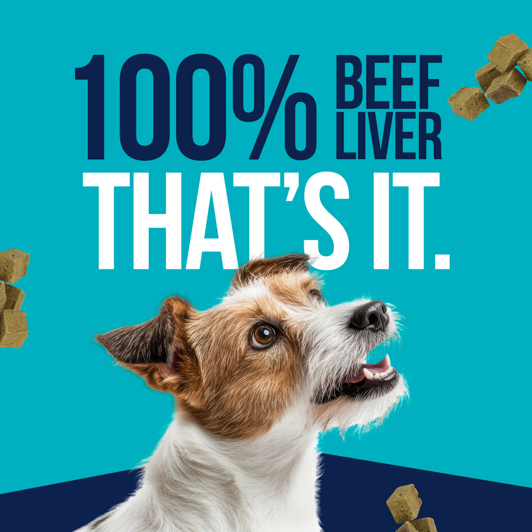 Single Ingredient Freeze Dried Raw Dog Treats, Beef Liver, 21 Ounce Value Size Resealable Tub, Training Treats or Meal Topper for All Size Dogs, High Protein, Grain-Free, Gluten-Free