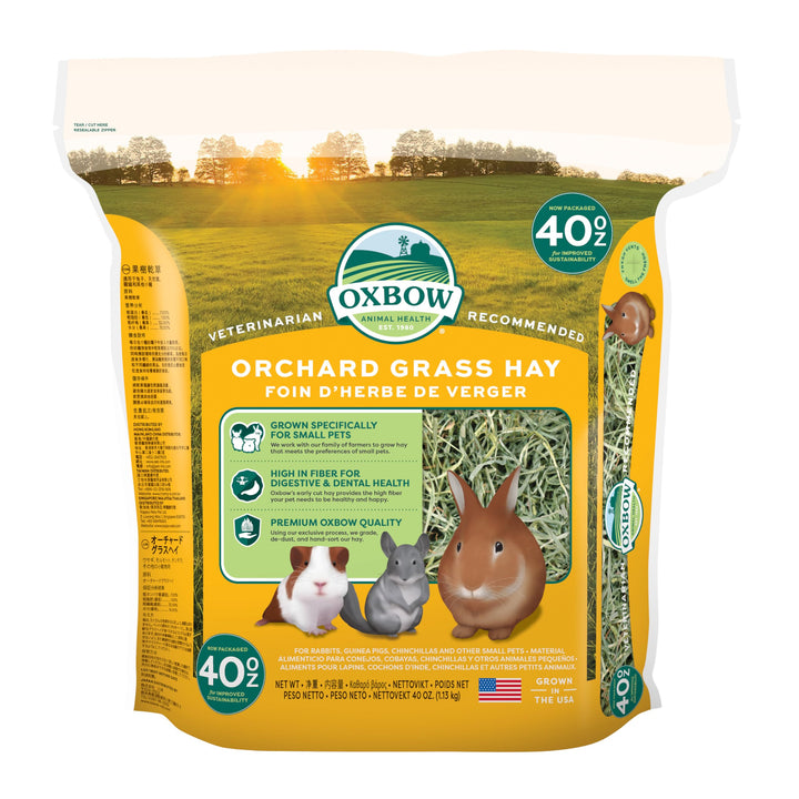 Animal Health Orchard Grass, Guinea Pig Hay, Rabbit Hay, Small Pet Bunny Supplies, All Natural Grass for Guinea Pig, Bunny, Chinchilla & Hamster, Rabbit Supplies for Bunnies, 40 oz. bag