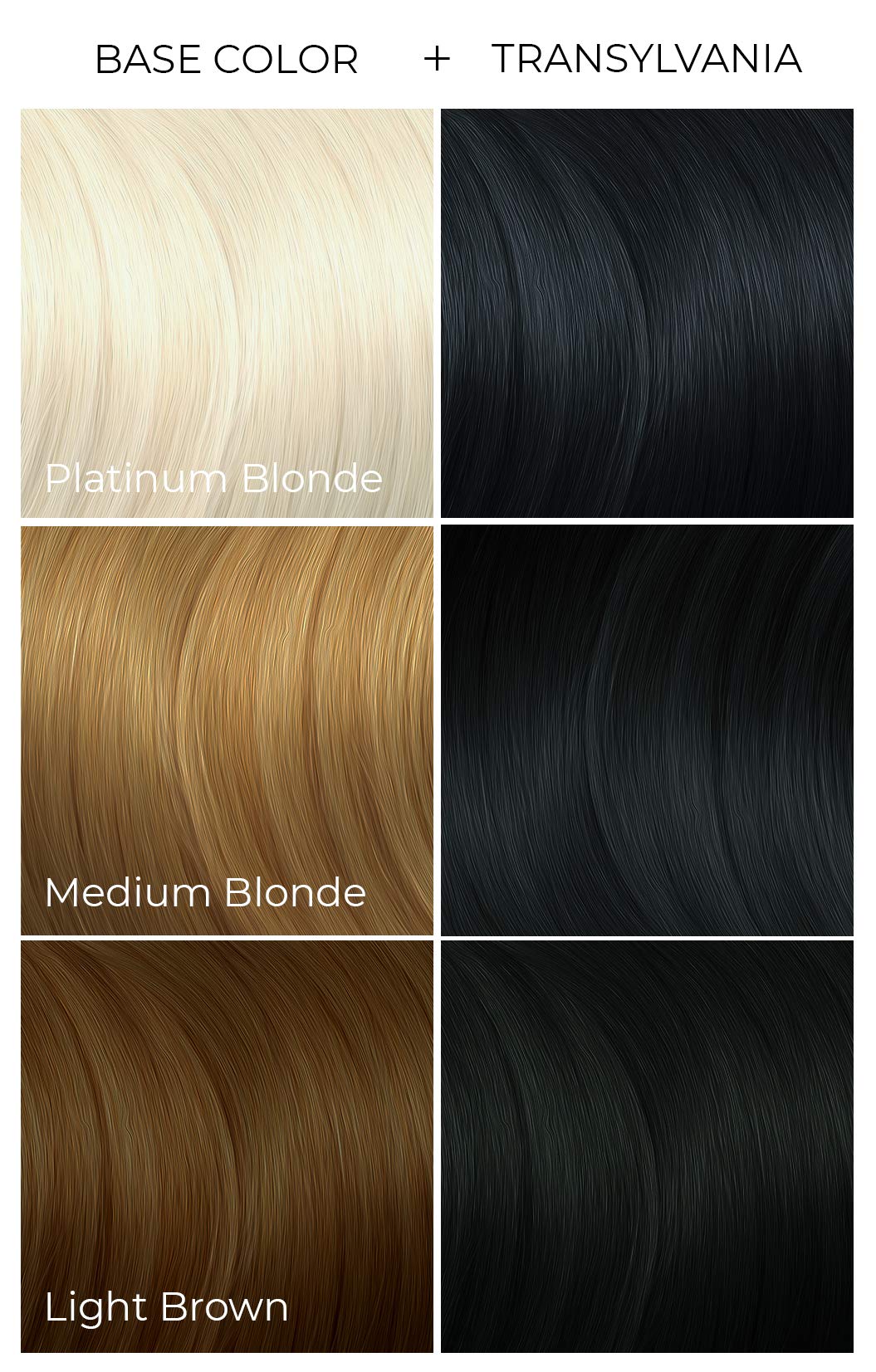 Vegan and Cruelty-Free Semi-Permanent Hair Color Dye (8 Fl Oz, TRANSYLVANIA)
