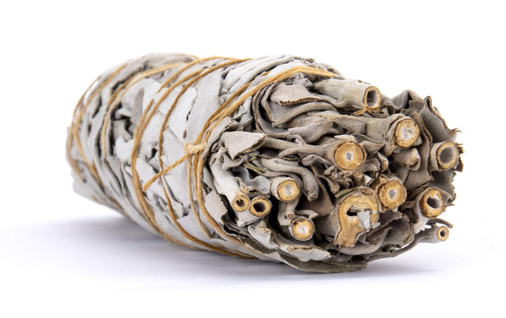 1 California White Sage Ex Large Smudge, Juniper Ridge Wild Harvested Smudge