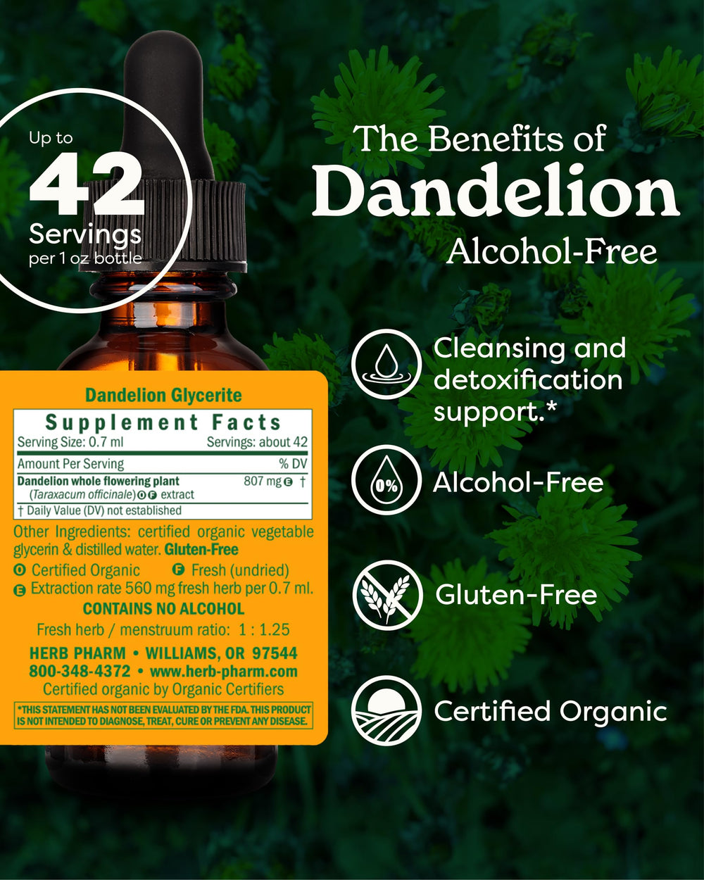 Certified Organic Dandelion Liquid Extract for Cleansing and Detoxification, Alcohol-Free Glycerite, 1 Fl Oz