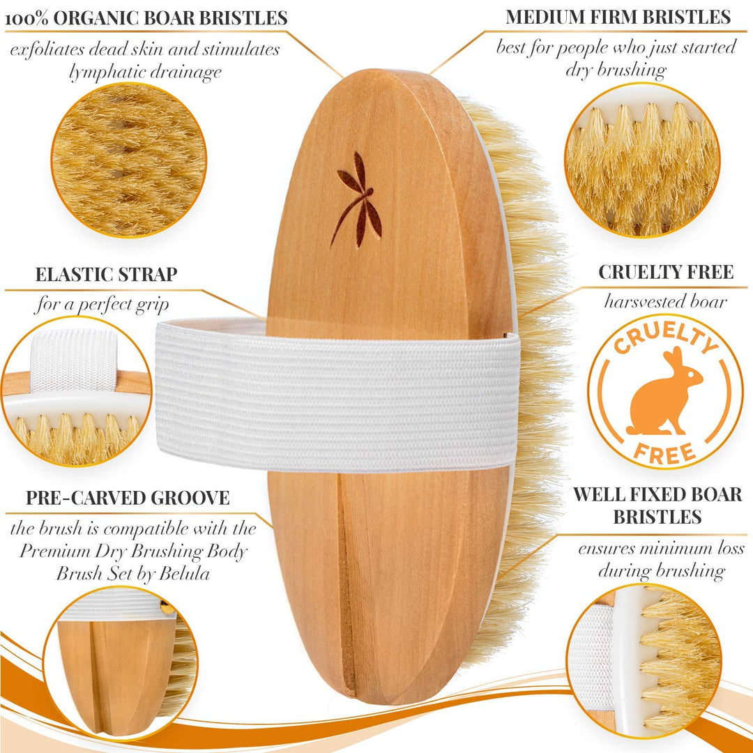 Dry Brushing Body Brush. Medium Soft Dry Brush for Cellulite and Lymphatic. for Beginners. Exfoliating Skin Brush and Free Konjac Sponge, for a Softer, Glowing Skin