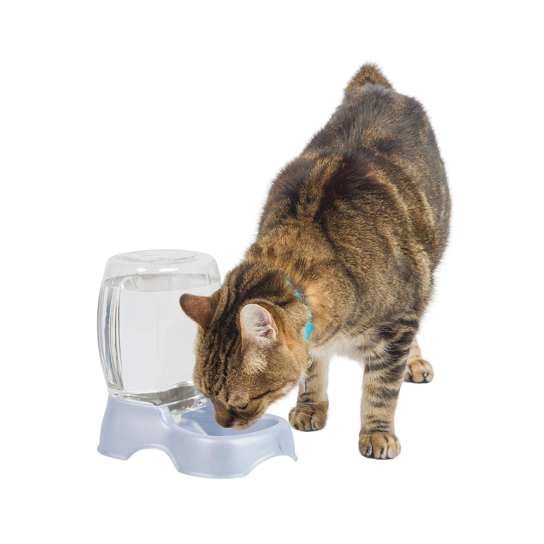 Pet Cafe Cat and Dog Water Dispenser - Water Bowl for Cats and Dogs, USA Made, .25 GAL, Pearl Ash Blue