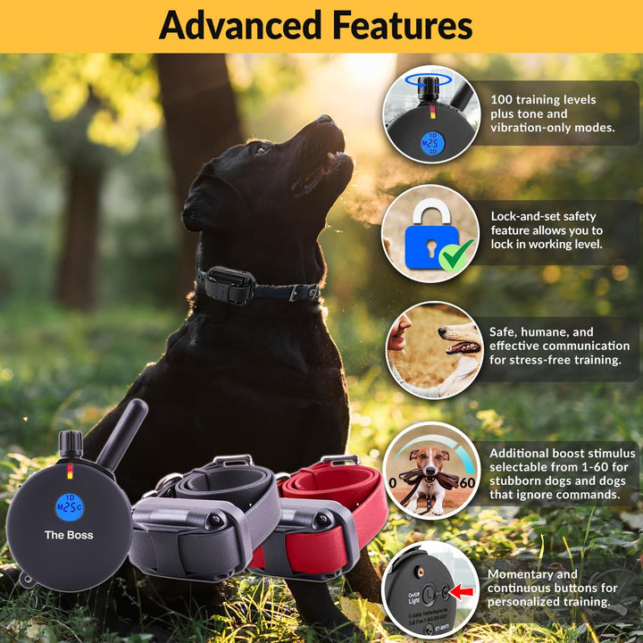 E-Collar Humane Dog Training Collar with Remote, 100 Safe Tapping Stimulation Levels, Night Light, Waterproof, Rechargeable, 1 Mile 2 Large Dogs, Black