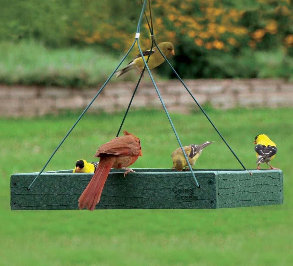 Going Green Platform Bird Feeder Model GGPLAT