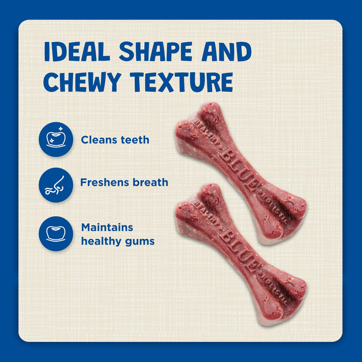 Dental Bones Mini Natural Dental Chew Dog Treats Bag Value Pack