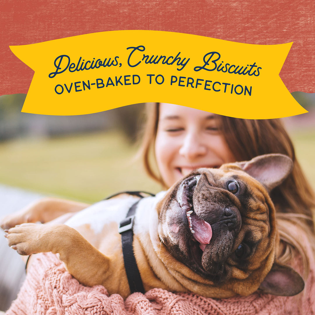 Limited Ingredient Rewards Crunchy Biscuits, Grain-Free Dog Treats for Adult Dogs of All Breeds, Salmon Recipe, 14 Ounce (Pack of 1)