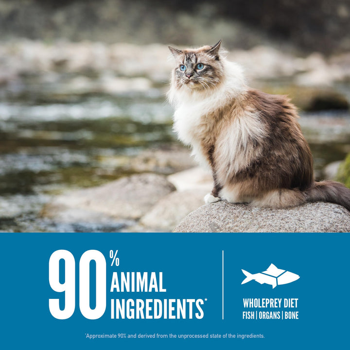 Six Fish Dry Cat Food, Grain Free Cat Food for All Life Stages, with WholePrey Ingredients, 4lb