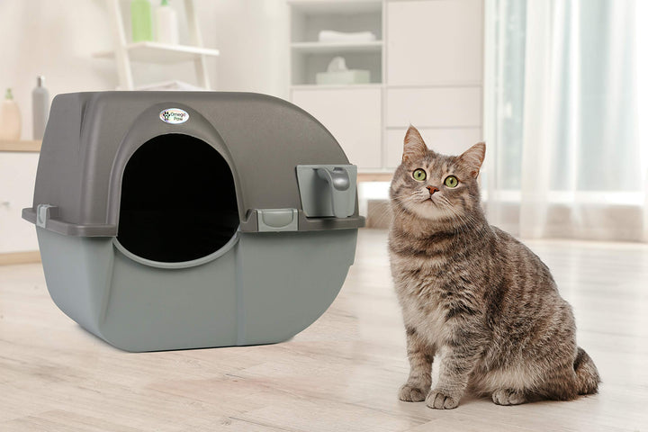 NRA15 Self Cleaning Litter Box Regular Size,Grey