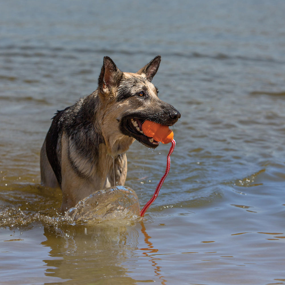 Aqua Floating Fetch Toy - Dog Floating Toy for Water Retrieval, Play, Exercise & More - Natural Rubber Dog Toy with Foam Interior & Rope for Farther Throwing - Orange, for Large Dogs