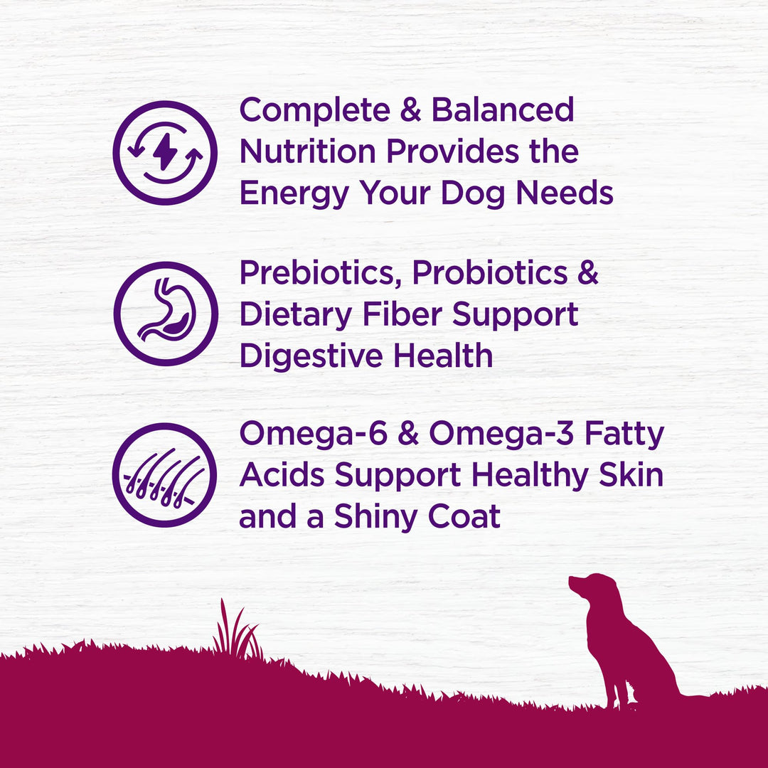 Complete Health Dry Dog Food, Small Breed, Grain Free, Natural, Turkey, Chicken, & Salmon Recipe (11-Pound Bag)