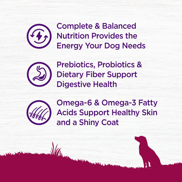 Complete Health Dry Dog Food, Small Breed, Grain Free, Natural, Turkey, Chicken, & Salmon Recipe (11-Pound Bag)