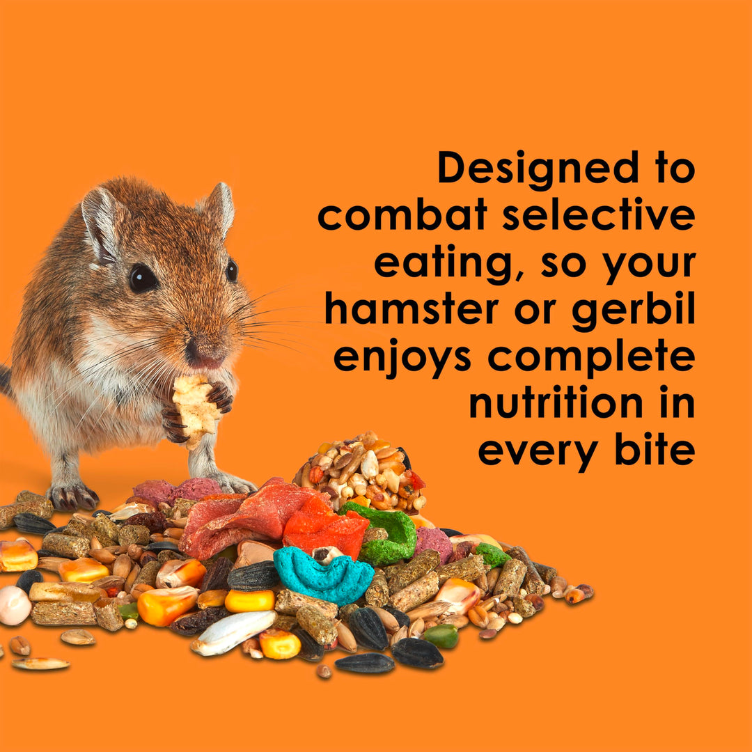 Fiesta Hamster & Gerbil Food, Nutritious and Fun Blend, Supports Dental Health and Digestion, 4.5 pounds