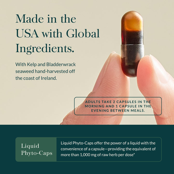 Thyroid Support - Made with Ashwagandha, Kelp, Brown Seaweed, and Schisandra to Support Healthy Metabolic Balance and Overall Well-Being - 120 Vegan Liquid Phyto-Capsules (40-Day Supply)