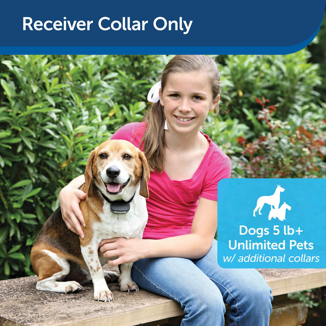 Rechargeable In-Ground Fence Receiver Collar with Charger