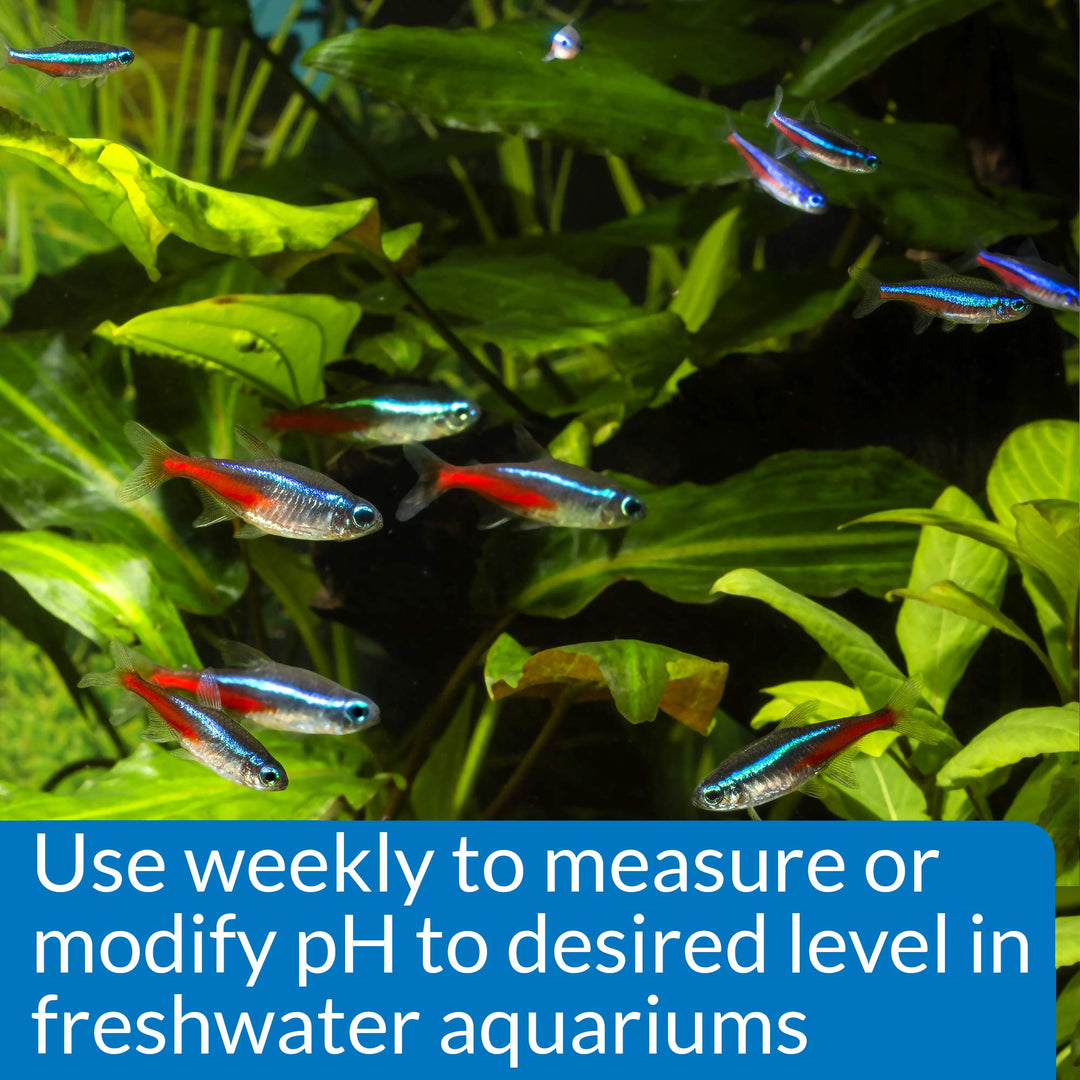 pH TEST & ADJUSTER KIT 250-Test Freshwater Aquarium Water pH Test and Adjuster Kit