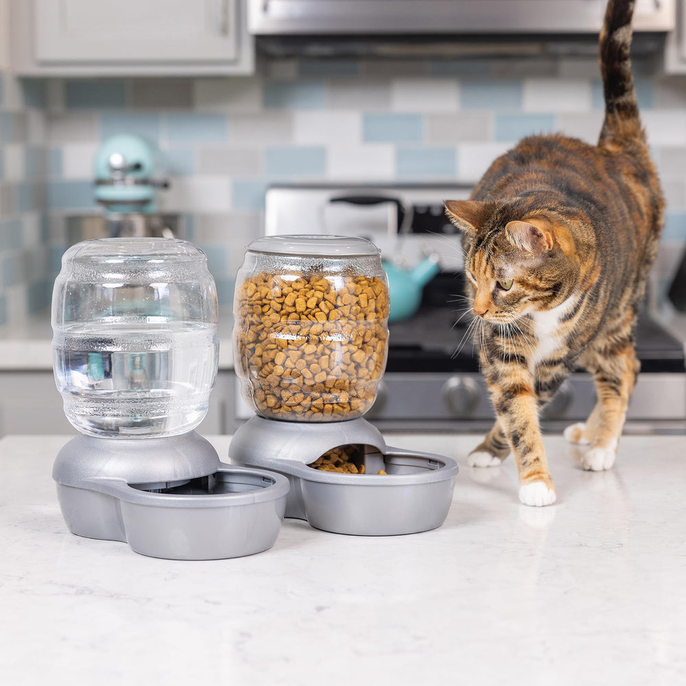 Replendish Automatic Gravity Waterer for Cats and Dogs, BPA-Free, No Batteries Required, Includes Charcoal Filter, 1 Gallon, Made in USA