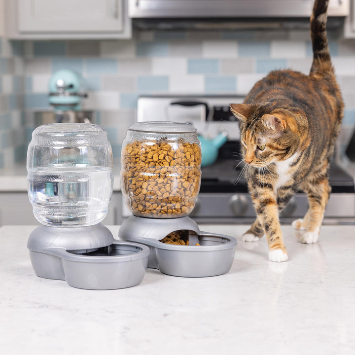 Replendish Automatic Gravity Waterer for Cats and Dogs, BPA-Free, No Batteries Required, Includes Charcoal Filter, 1 Gallon, Made in USA