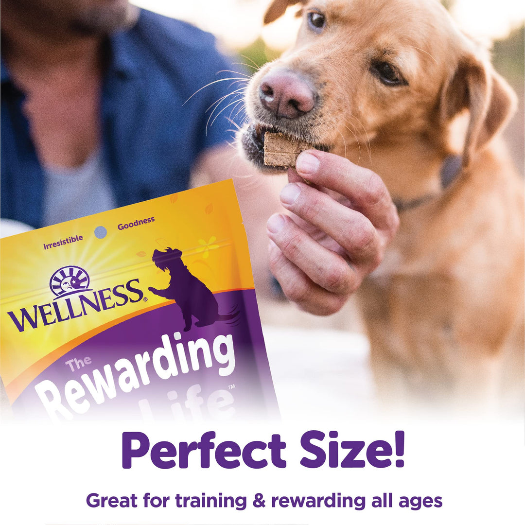 Rewarding Life Dog Treats, Natural, Training Treat, Grain Free, Soft Chicken & Venison (6 Ounce bag)