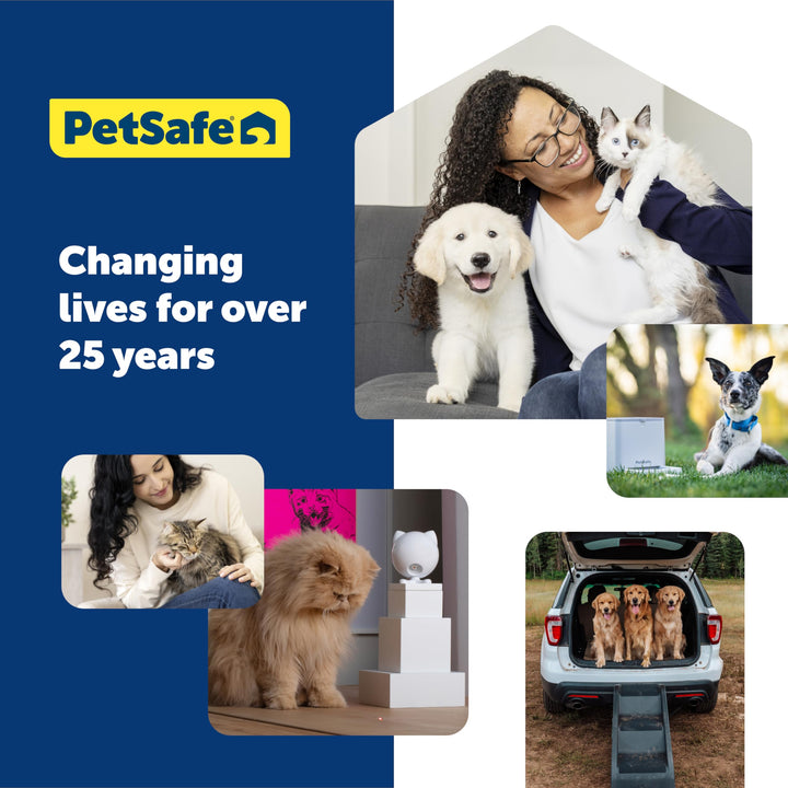 In-Ground Cat Fence Receiver Collar, Waterproof, Tone and Static Correction, Stretch-Section for Safety, for Cats Over 6 lb - from The Parent Company of Invisible Fence Brand