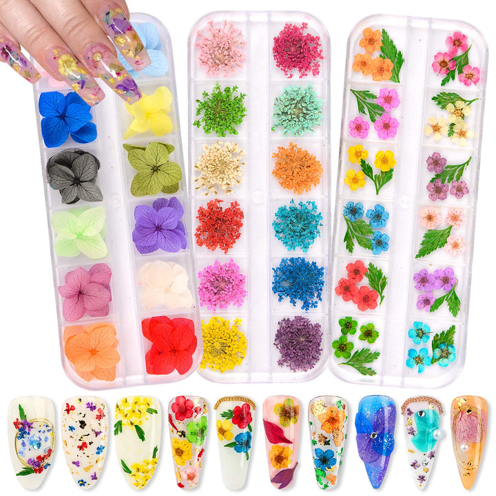 Dried Flowers for Nails 120pcs/set 3D Real Encapsulated Nail Pressed Flowers for Nail Art & Resin Craft DIY - Gypsophila, Five Petals Flowers, Leaves, Hydrangea Macrophylla (Pattern A)
