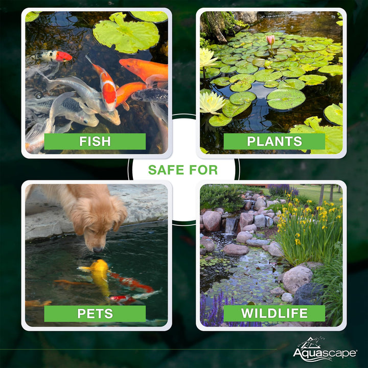 Beneficial Bacteria Concentrate for Pond and Water Features, 1.1-Pound | 98950