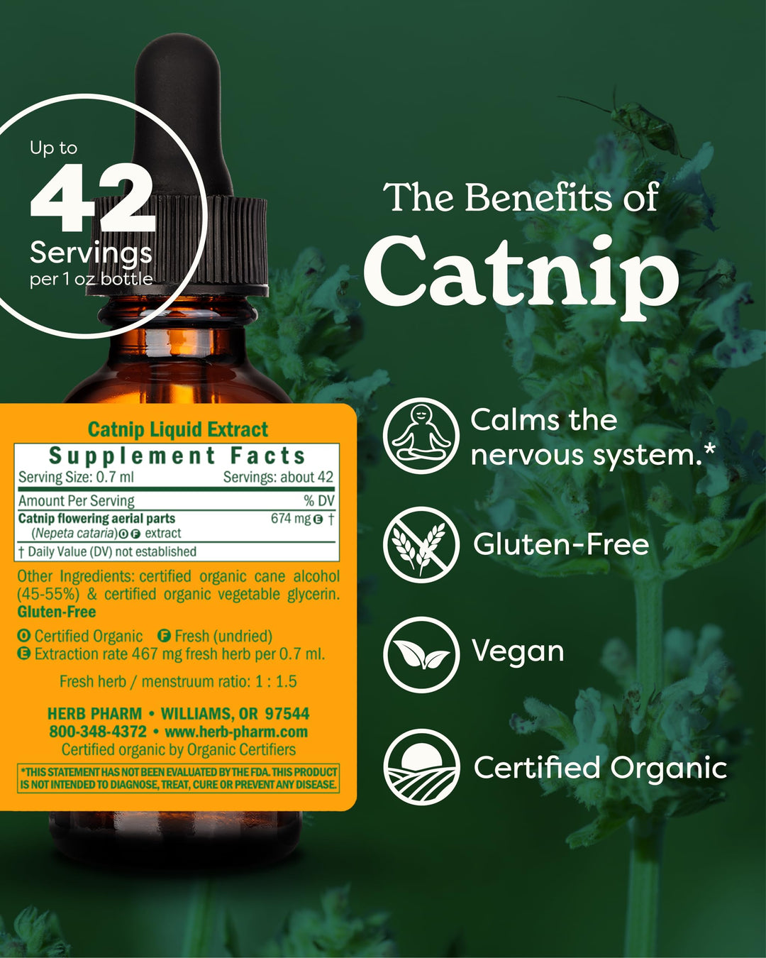 Certified Organic Catnip Liquid Extract for Calming Nervous System Support, 1 Fl Oz