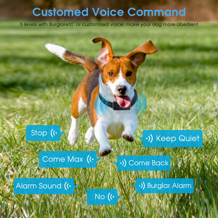 B1sPro Bark Collar APP&Watch Control, IP68 Waterproof Dog Training Collar with Smart Progressive Correction & Barking Report & Custom Sound, 0~99 Static Level Rechargeable Anti Bark Collar