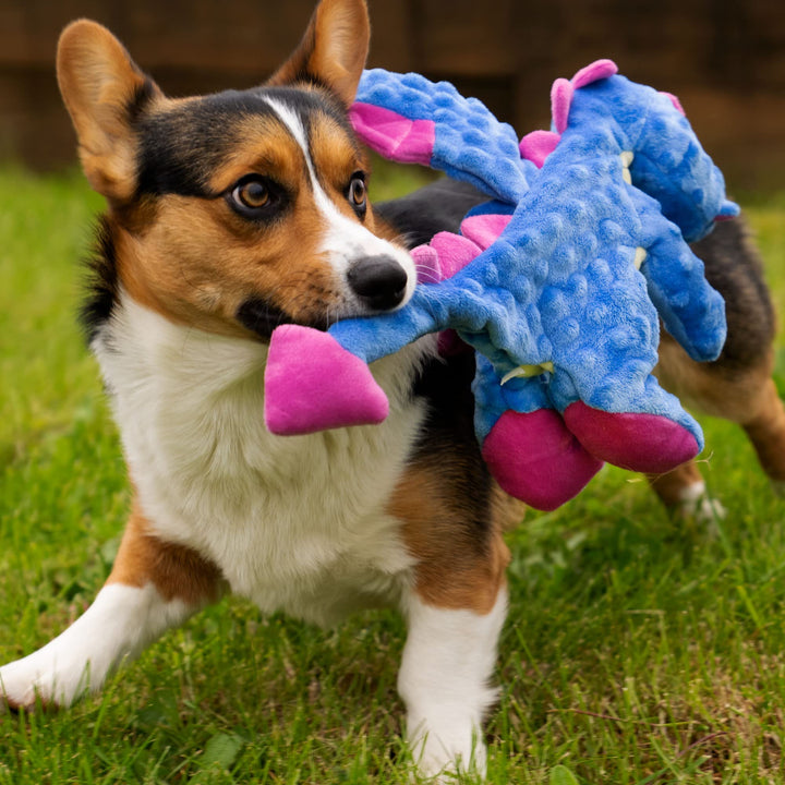 Bubble Plush Dragons Squeaky Dog Toy, Chew Guard Technology - Periwinkle, Large