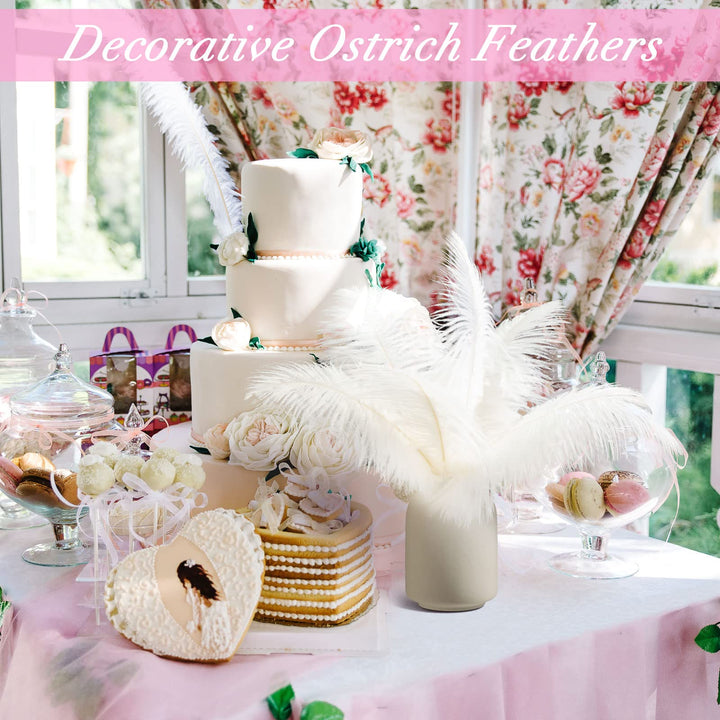 48 Pcs Natural Ostrich Feathers 10-12 Inch (25-30 cm) Large Feathers for Crafts Feather Centerpieces for Tables Feather Plume for Vases Wedding Party Tree Decorations (White)