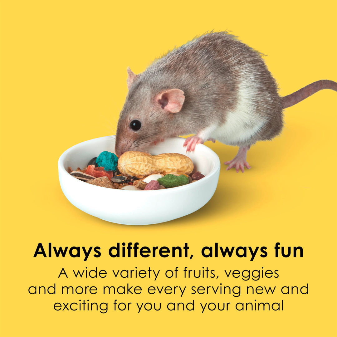 Fiesta Mouse & Rat Food, Nutritious and Fun Blend, Supports Dental Health and Digestion, 2 pounds