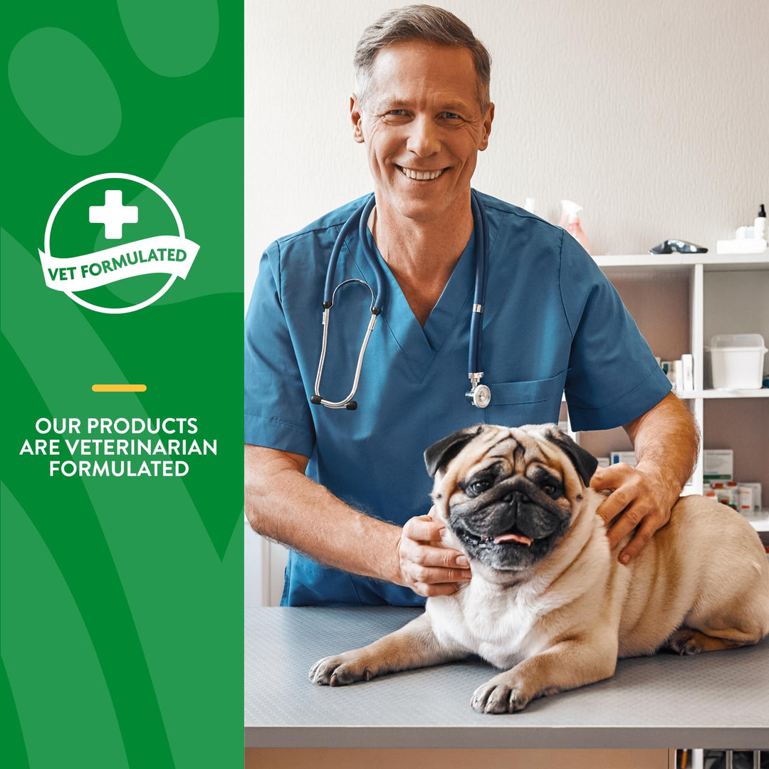 - No Scoot for Dogs - Plus Pumpkin - Supports Healthy Anal Gland & Bowel Function - Enhanced with Beet Pulp & Psyllium Husk (5.4oz Powder)