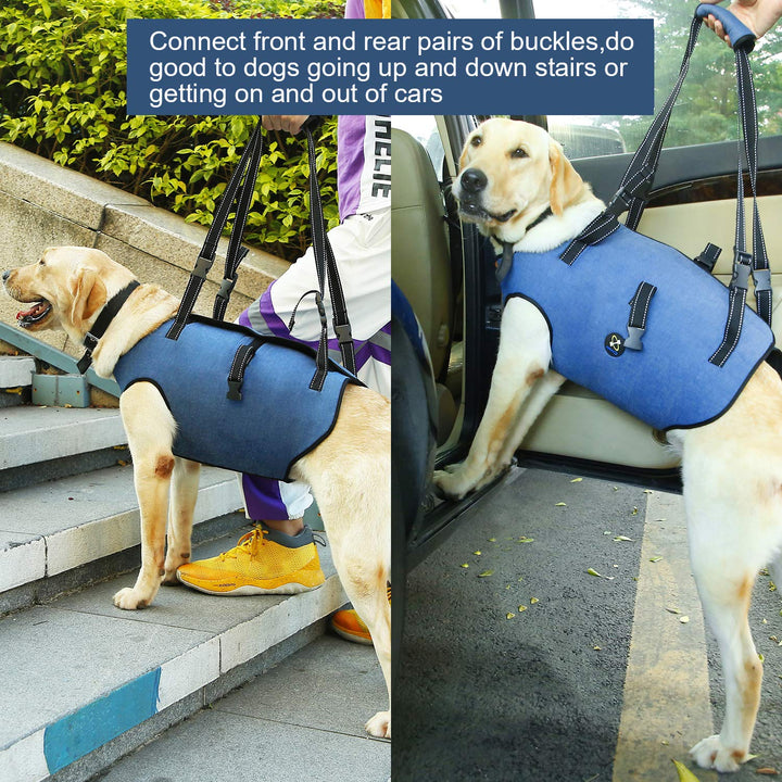 Dog Lift Harness, Pet Support & Rehabilitation Sling Lift Adjustable Padded Breathable Straps for Old, Disabled, Joint Injuries, Arthritis, Loss of Stability Dogs Walk (Blue, L)