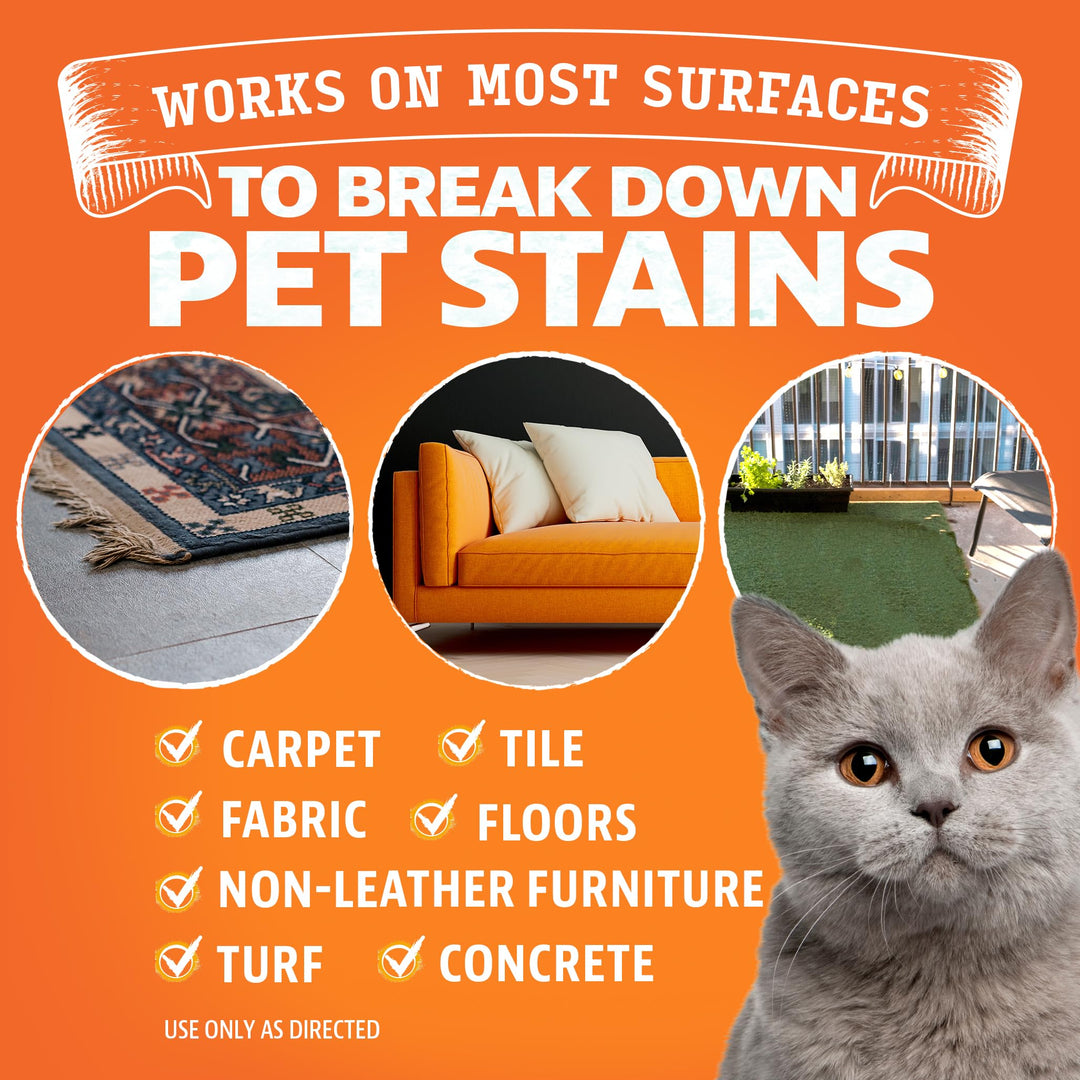 Angry Orange Pet Stain Remover for Cat Urine and Stains - Enzyme Cleaner - Fresh Scent - 32 oz