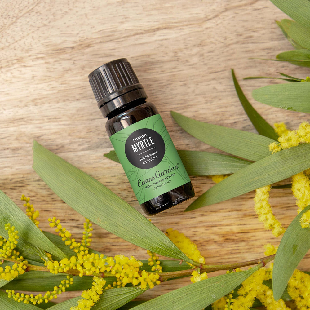 Myrtle- Lemon Essential Oil- 100% Pure Premium Grade, Undiluted, Natural, Therapeutic, Aromatherapy, The Best for Diffuser, Candle, Laundry, Humidifiers 10 ml (.33 fl oz)