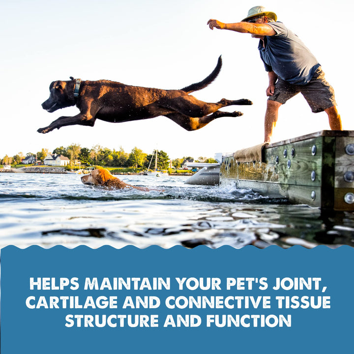Grizzly Joint Aid for Dogs Liquid Hip and Joint Support (Extra Strength), 32 fl oz
