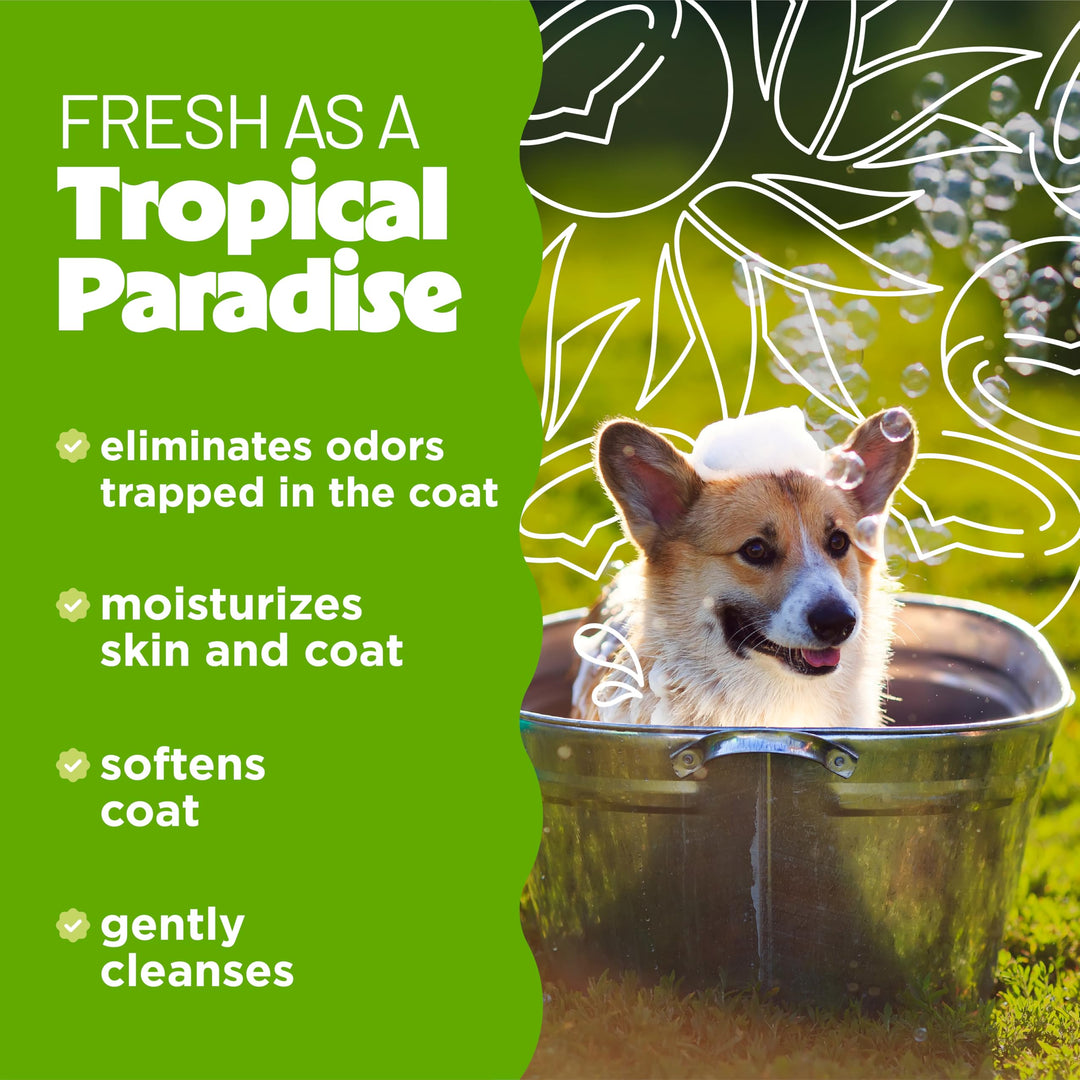 Deodorizing Dog Shampoo for Smelly Dogs, Powerful Odor Control, Puppy Safe, Made in the USA, Aloe & Coconut Scent, Cat Friendly, 20oz.