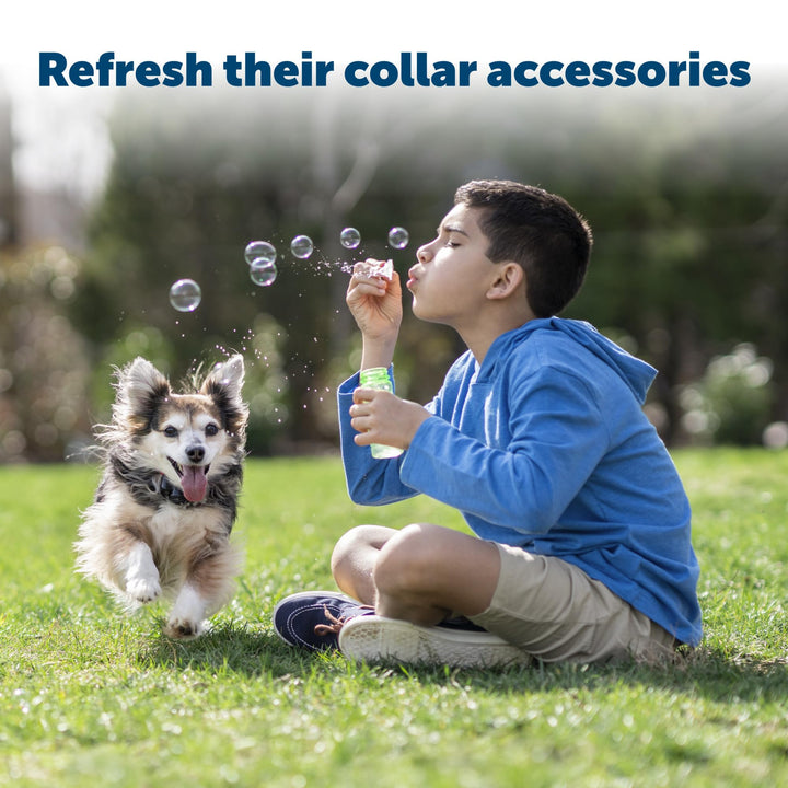 Replacement Collar Accessory Kit for In-Ground & Wireless Dog Receiver Collars - Includes Short & Long Contact Points, Level Covers, Hardware From the Parent Company of INVISIBLE FENCE Brand