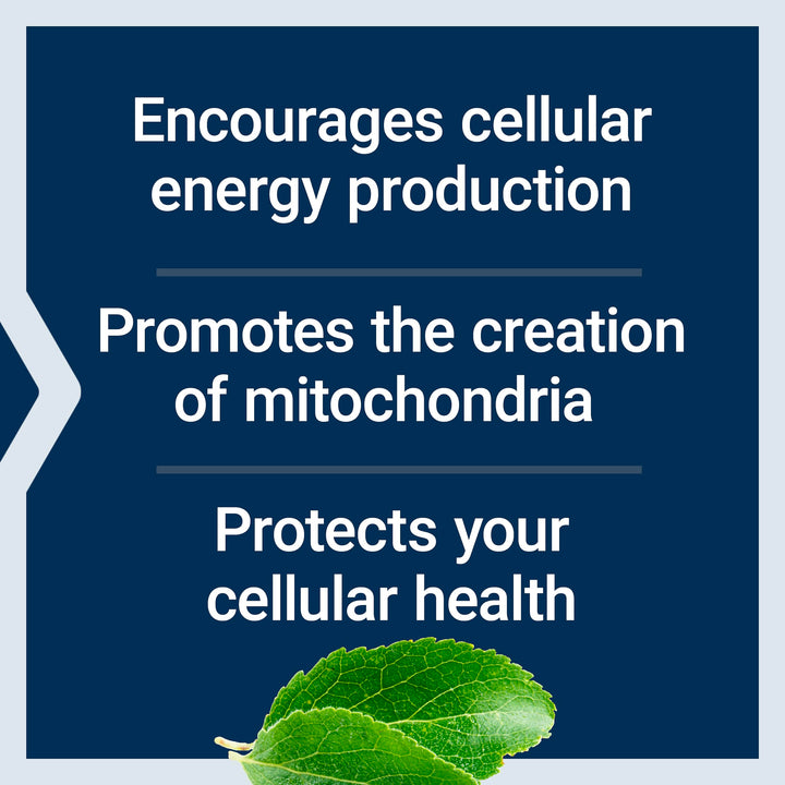 Mitochondrial Energy Optimizer with PQQ – For Heart & Brain Health, Energy Management and Anti-Aging - Gluten-Free, Non-GMO, Vegetarian – 120 Capsules