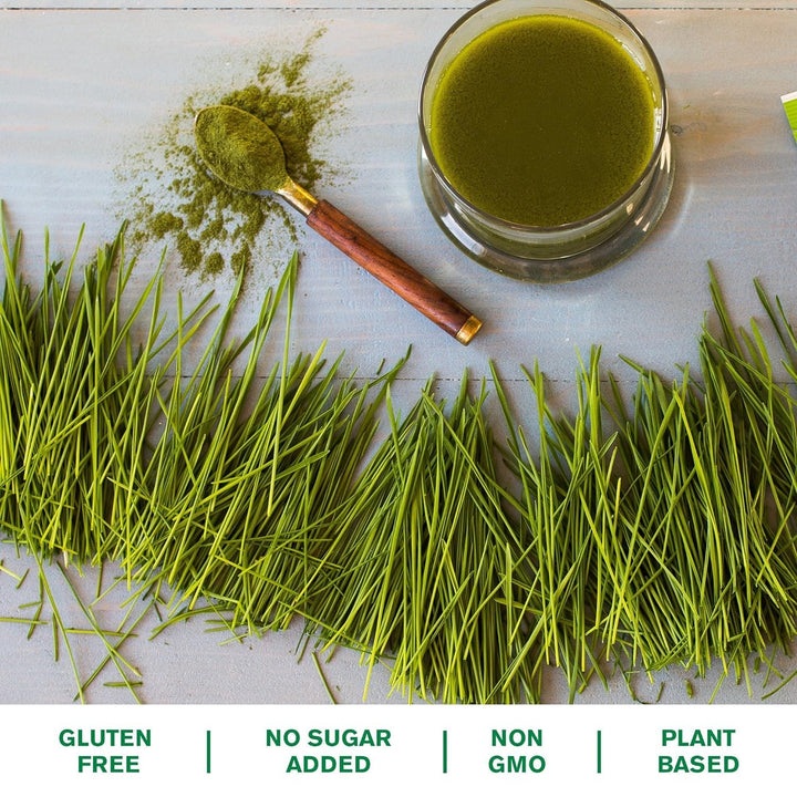 Wheat Grass Powder: 100% Whole-Leaf Wheat Grass Powder for Energy, Detox & Immunity Support, Chlorophyll Providing Greens, 100 Servings