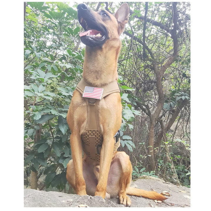 Service Dog in Training Vest, Service Dog Harness, Service Dog Vest for Large Dogs Breed, Large Tactical Dog Harness with Service Dog Patches