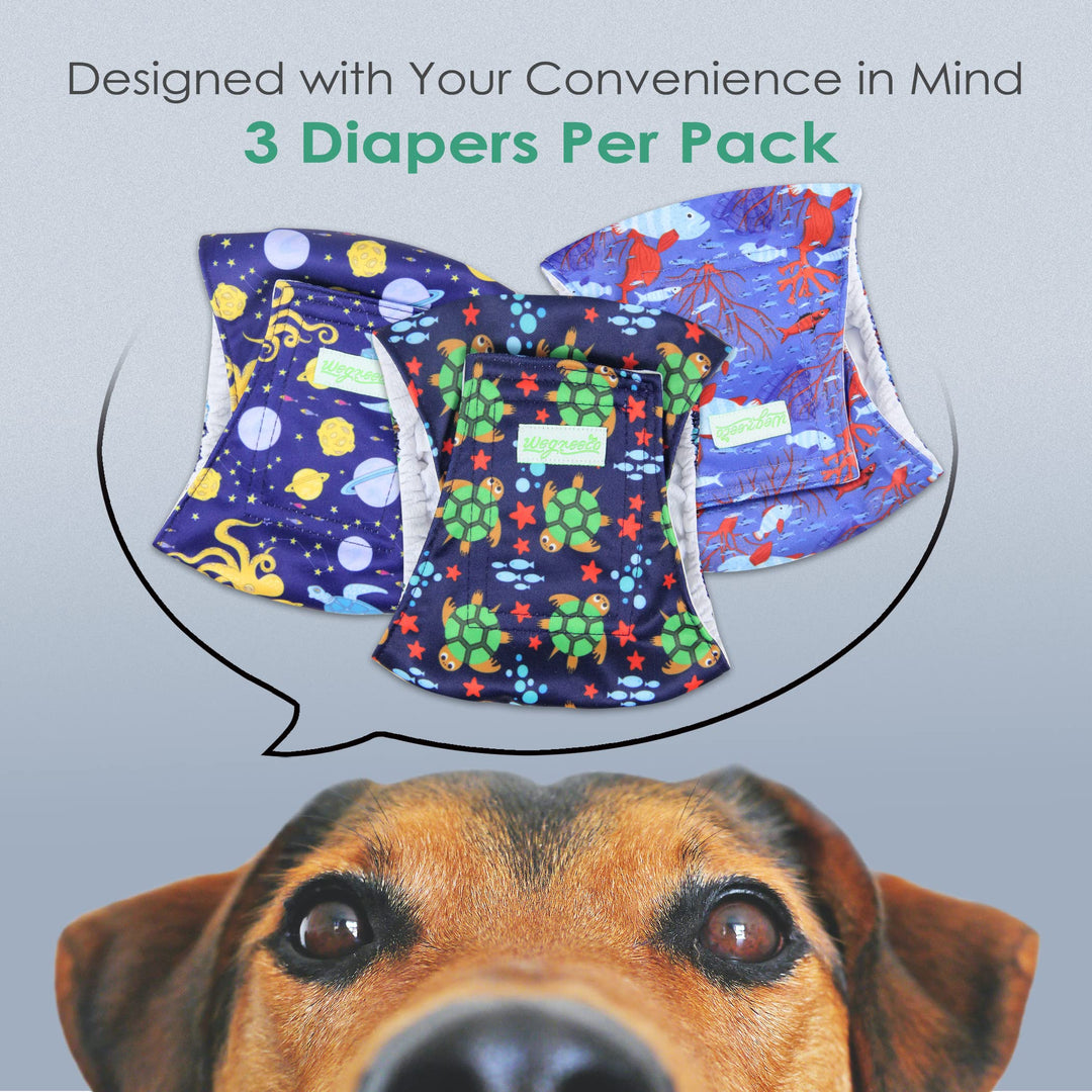 Washable Male Dog Belly Band (Stylish Pattern)- Pack of 3 - Washable Male Dog Belly Wrap, Dog Diapers Male (Turtle, S)