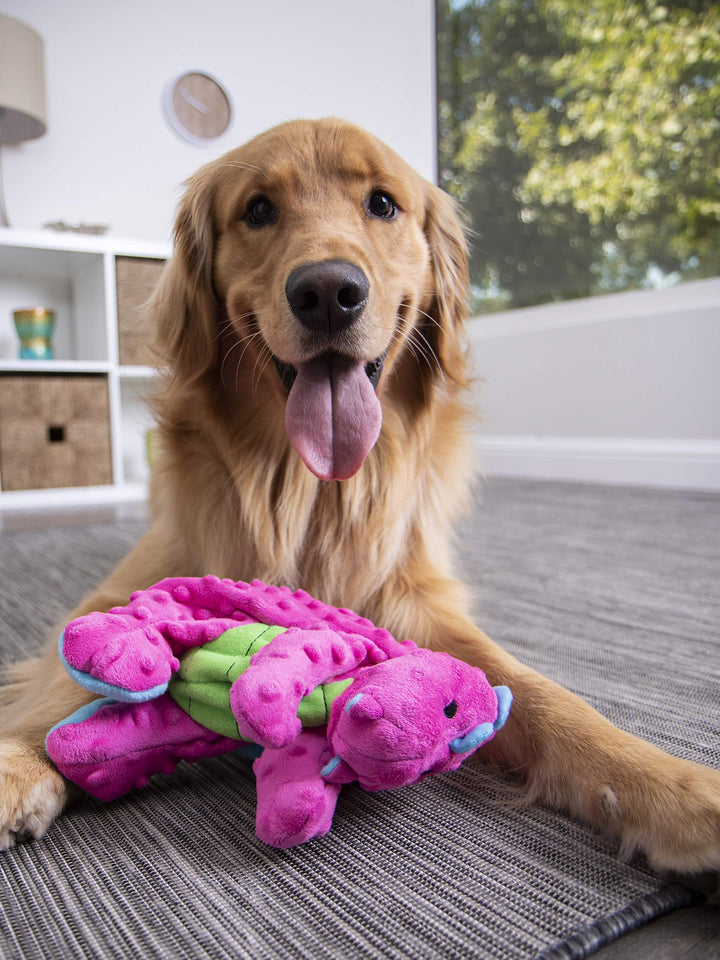 Bubble Plush Dragons Squeaky Dog Toy, Chew Guard Technology - Pink, Large