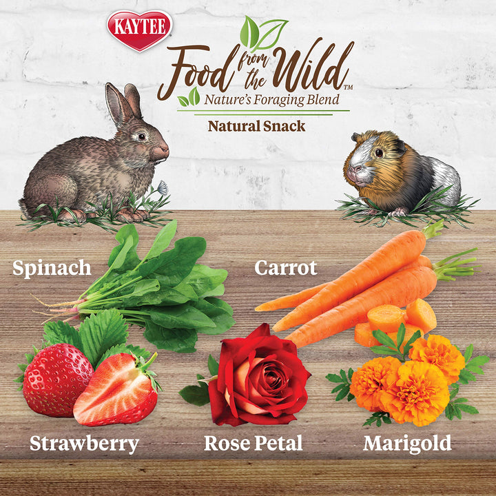 Food from The Wild Natural Snack for Pet Rabbits, Guinea Pigs And Other Small Animals, 1 Ounce