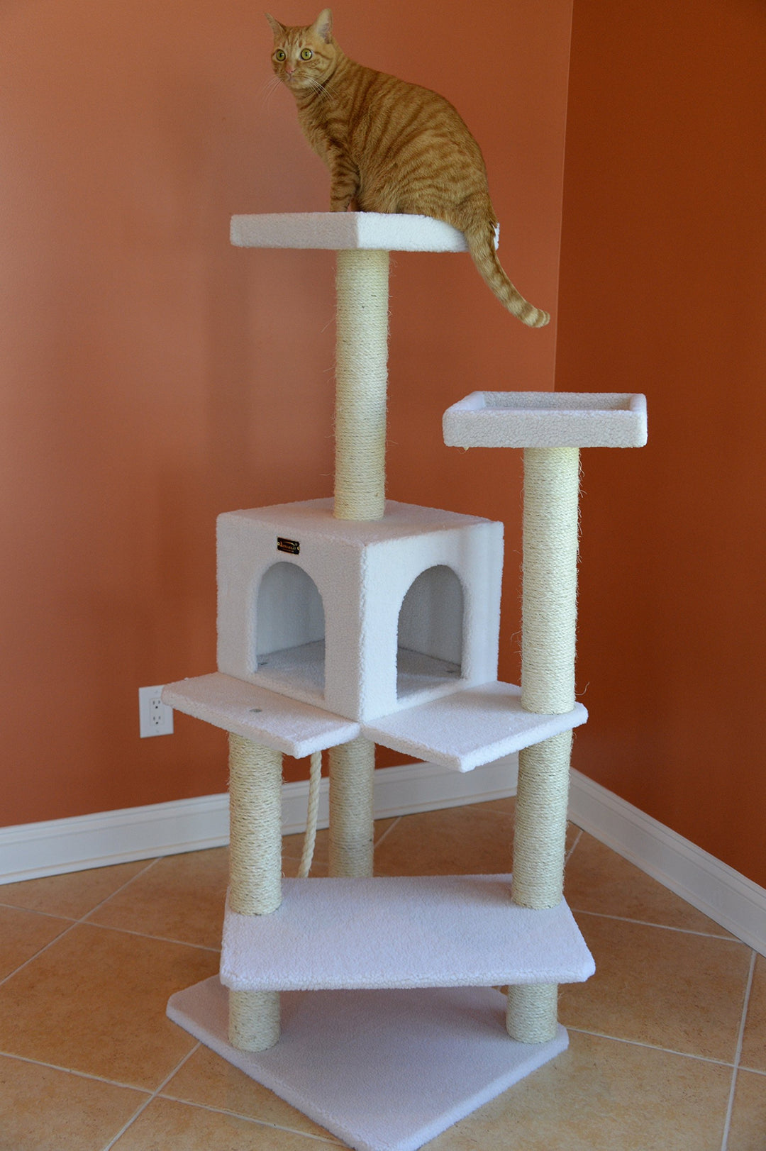 B5701 57-Inch Cat Tree, Ivory