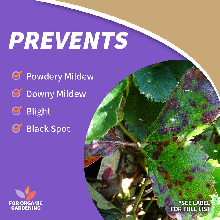Captain Jack's Copper Fungicide, 32 oz Ready-to-Use Spray for Organic Gardening, Controls Common Diseases