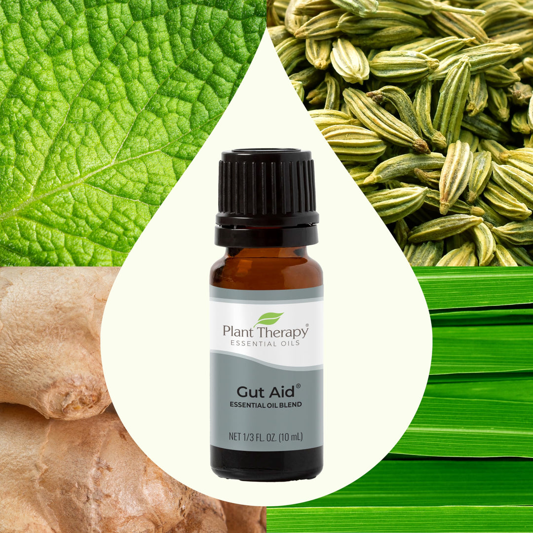 Gut Aid Essential Oil Blend 10 mL (1/3 oz) 100% Pure, Undiluted, Natural Aromatherapy for Upset Stomach Relief
